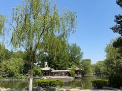 -近春园遗址