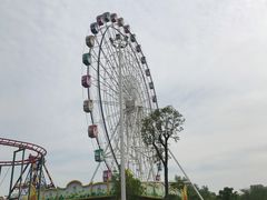 -洋湖国家湿地公园