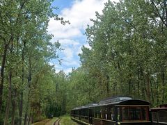 -合肥滨湖国家森林公园