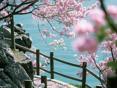 -凤凰汇购物中心