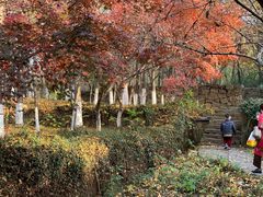 -白马涧龙池景区