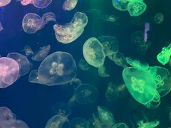 -成都浩海立方海洋公园