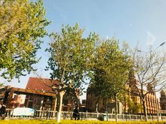 -水晶之星洗浴温泉汗蒸