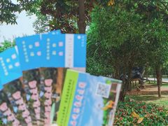 -西峡恐龙遗迹园