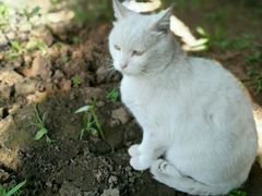 -北京观赏动物医院·24小时大型综合·猫专科·异宠专科