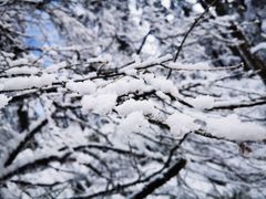 -瓦屋山景区