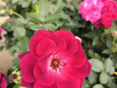 -人民公园(罗湖区)