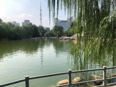-莲湖公园