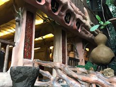 -天门沟九州驿站树上汤泉