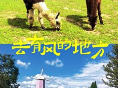 -大连铭湖国际观光牧场