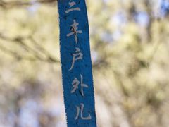 -大觉寺-停车场