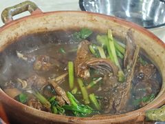-霞姐屯昌枫木香草鸭店(海螺店)