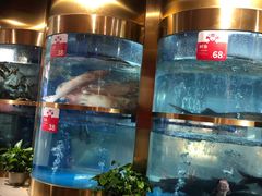 -蜀滋香鲜鱼美蛙火锅(339店)