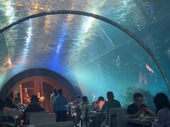 -涛·海底餐厅·美人鱼·自助餐·海底隧道(三亚海棠湾洲际度假酒店)