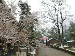 -天怡·鱼工厂(梅溪湖店)
