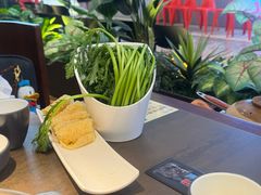 -同仁四季椰子鸡(宝安壹方城店)