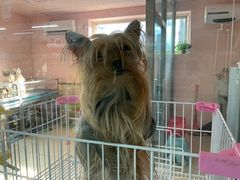 -山东柏宁水族批发广场