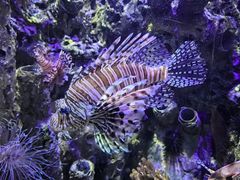 -太平洋海底世界