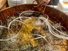 -咖啡厅自助餐厅(贵阳中天凯悦酒店)