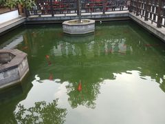 -麒麟小院·老九江菜(安平路店)