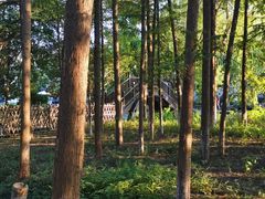 -乌镇东栅景区