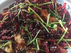 -食家鸽园