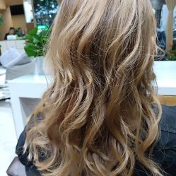 -CARR SALON