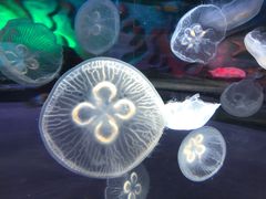 -横店影视城梦幻谷园区