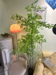 -变美丽半永久纹眉连锁·机器野生眉•洗眉