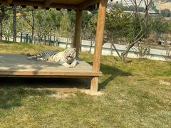 -太原动物园