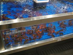 水产区-盒马鲜生(财富中心店)