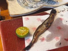 -月龍吟(朝龙汇店)