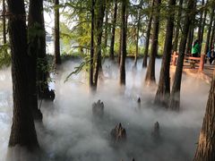 -东湖落雁景区