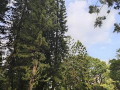 -人民公园(罗湖区)