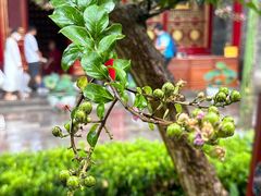 -西安市广仁寺