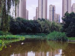-木塔寺遗址生态公园