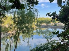 -伊犁河风景区