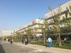 -首都医科大学附属北京天坛医院