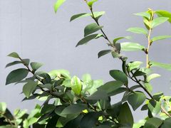 大堂-Ocean's Table 欧舍