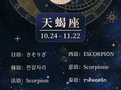-槿言教育·雅思托福·国际教育·小语种培训留学中心(观音桥店)