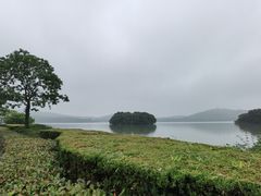 -水上明月·湖景餐厅
