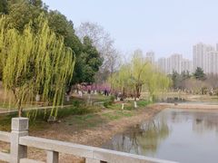 -堤角公园