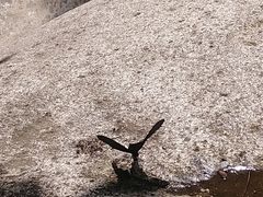 -崂山九水游览区