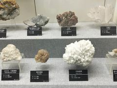 -甘肃地质博物馆