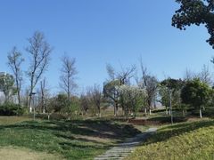 -桂溪生态公园