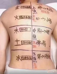 -香薇妮丝女子减肥院