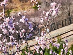 -居庸关长城