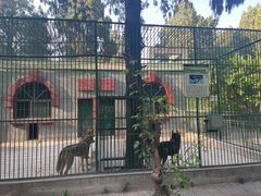 -保定市动物园