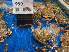 水产区-盒马鲜生(红莲店)