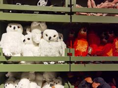 -九又四分之三站台